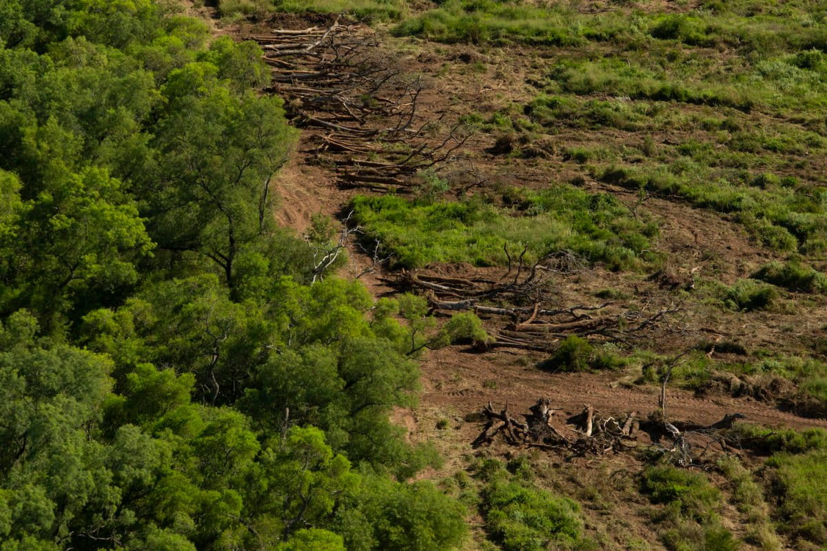 gran-chaco-deforestacion-argentina-2-1200x800